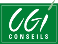 Association CGI Conseils